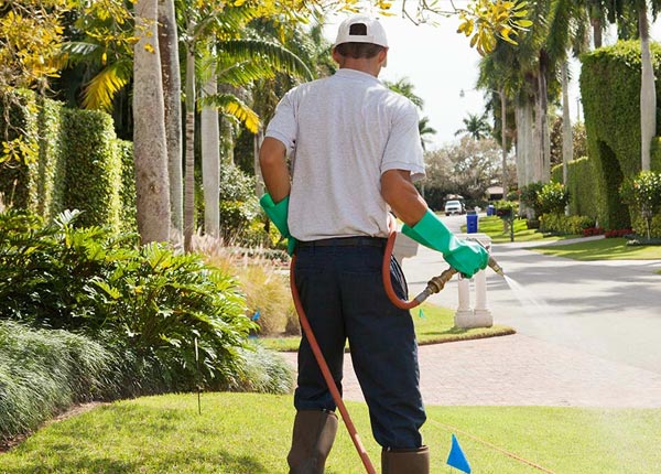About Hazelton KS Pest Control
